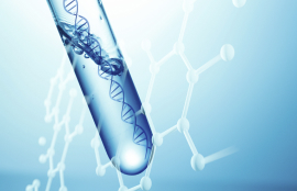 実験・研究内容にとらわれない