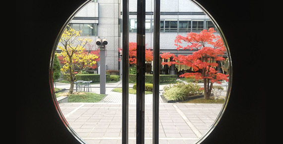 京都から海外へ