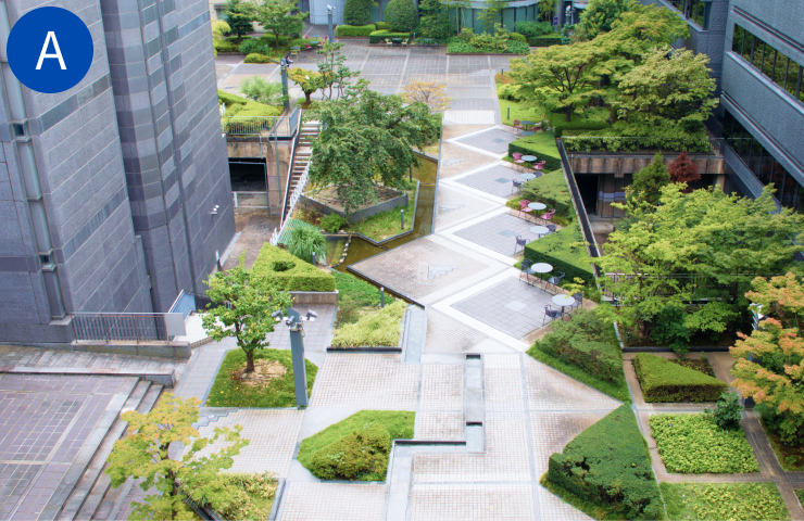 フィールド提供