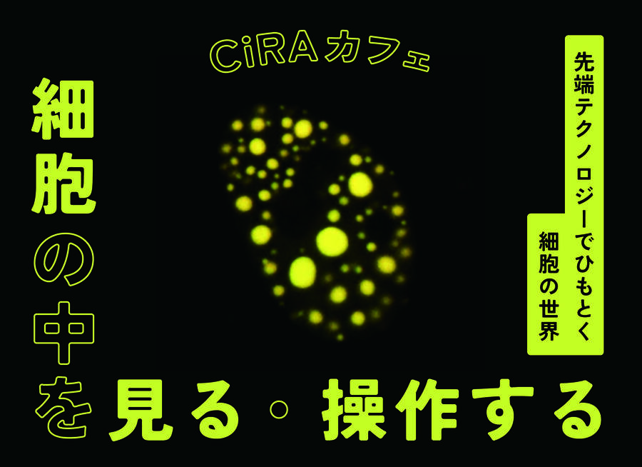 CiRA_バナー画像.jpg