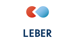 【300ピクセル】S-2 AGREE.png