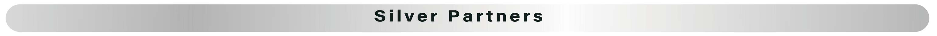 シルバー.png