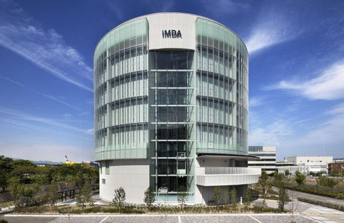 国際医療開発センター（IMDA）