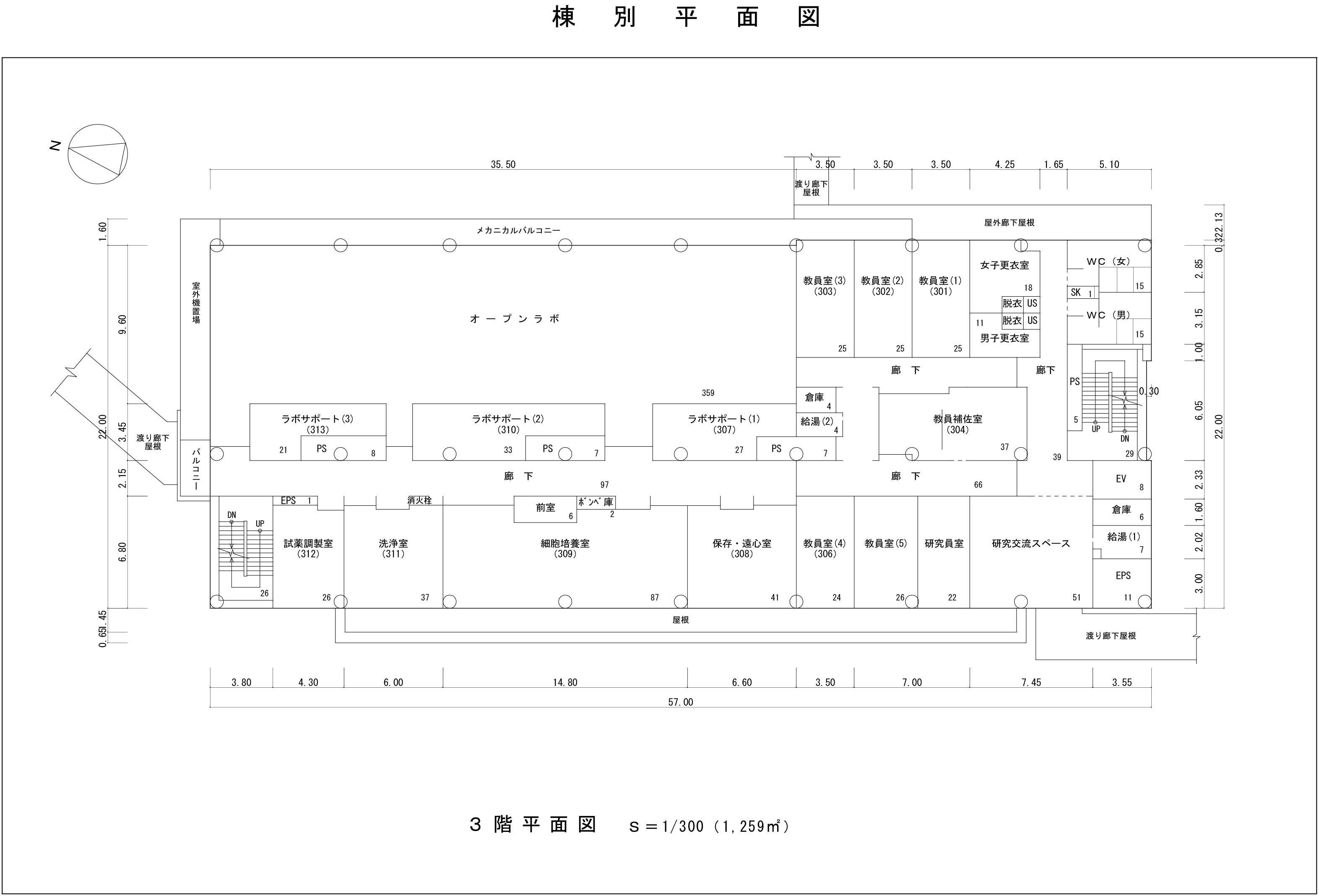 mini徳島大学：平面図（３階）_画像3.jpg