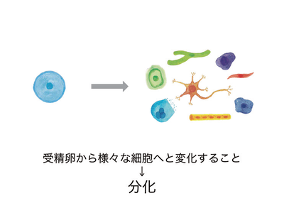 0618_krppress154_P0304 2.bmp