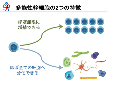 0618_krppress154_P0304 5.bmp